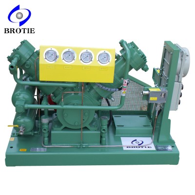 Totally Oil-Free Hydrogen H2 Gas Compressor Booster Pump